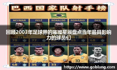 回顾2003年足球界的璀璨星辰盘点当年最具影响力的球员们