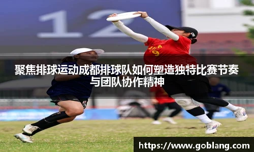 聚焦排球运动成都排球队如何塑造独特比赛节奏与团队协作精神